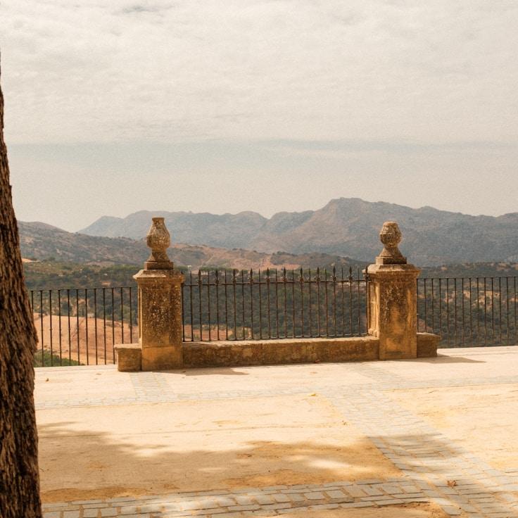 Family terraces and cafés for calm evenings in New York